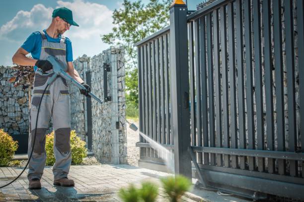 Best Graffiti Removal  in Louisa, KY