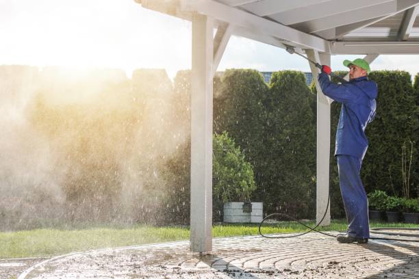 Best Roof Washing  in Louisa, KY