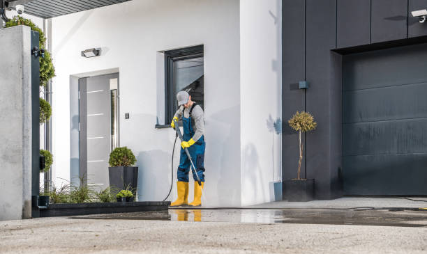 Best Gutter Cleaning  in Louisa, KY